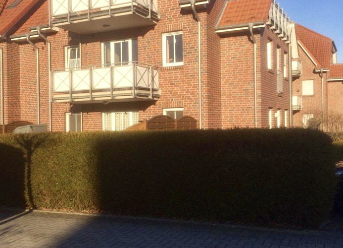 Haus