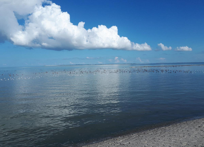 Nordsee