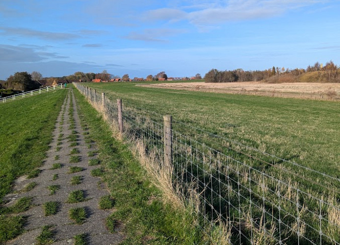 von Ohlen, Deichstr. 5a