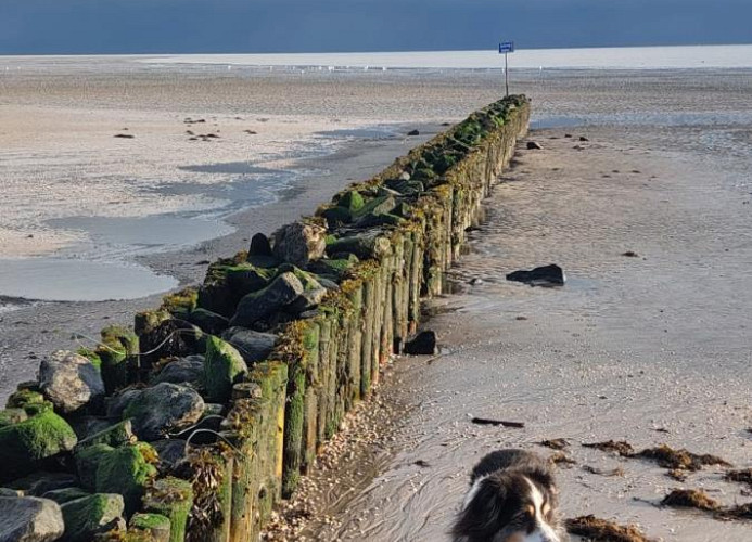 Haus Wattenmeer Wo 9  Mellumweg 4