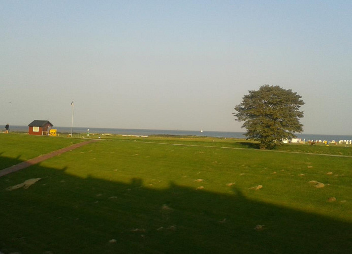 Blick vom Balkon